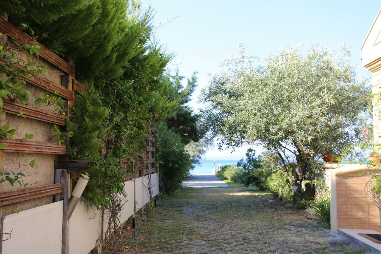 Villa Argo 3 - Beachfront, Big Gardens, Location! Pefkochori Esterno foto